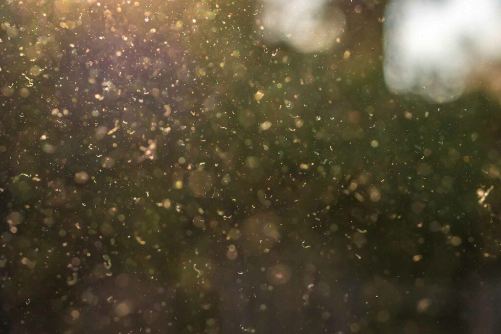 What is Particulate Matter and Why You Should Care 1 pollen particulate matter