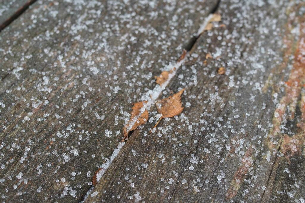What is Sleet? (And Why It's Different from Freezing Rain) 2 sleet pellets