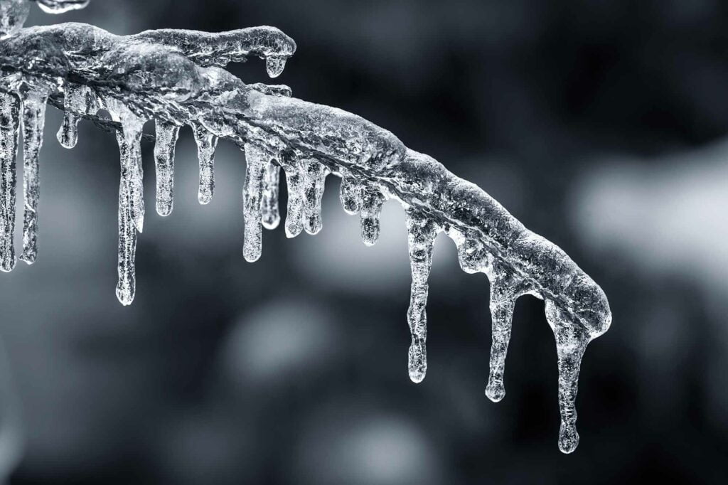 What is an Ice Storm Warning? Prepare for a Severe Ice Storm 3 heavy ice on branches
