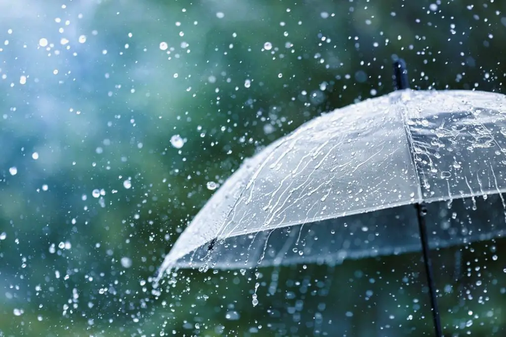 what is weather - rain on umbrella