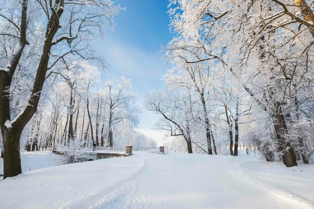 Sleet vs Freezing Rain vs Hail: A Useful Guide 3 winter scene